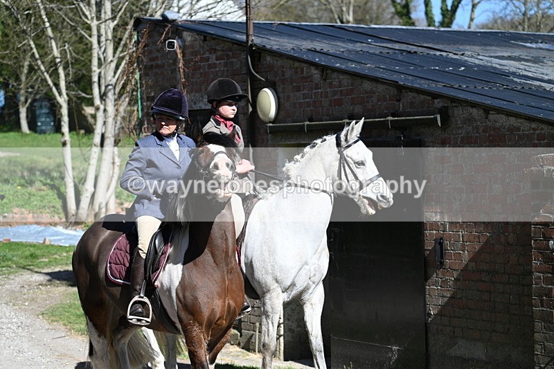 WJ7_9689 - Home for hunt tea !