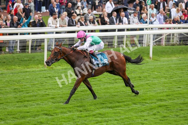 080924-Race 1-Windlord-4346 - Race 1 1.40pm British European Breeders Fund Novice Stakes