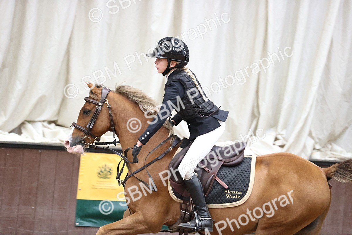 SBM_000706 - Class 2 - STX UK Pony British Novice 80cm Open