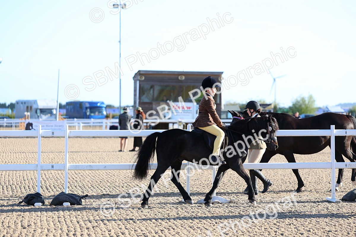 SBM_07791 - Class 301 - Ridden M&M - Small Breeds
