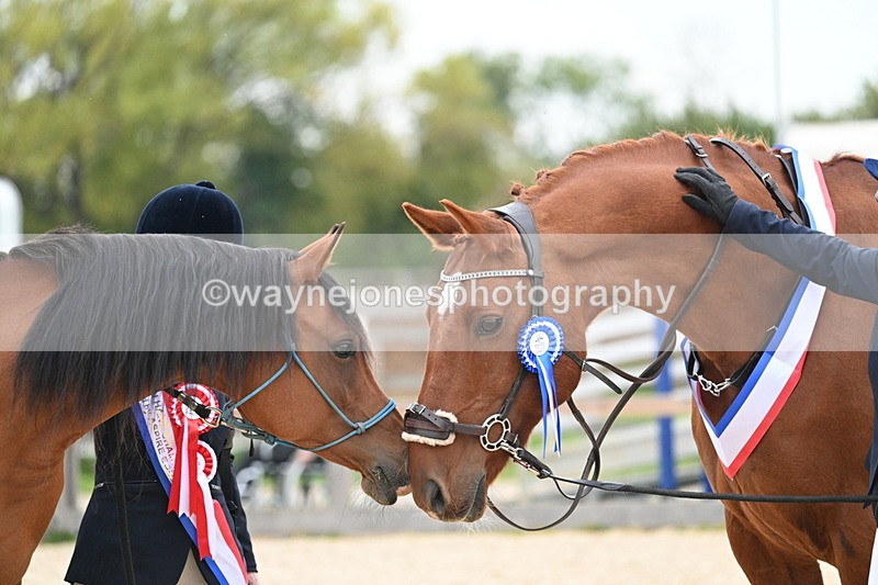 WJ7_1984 - Class 1 & Champs