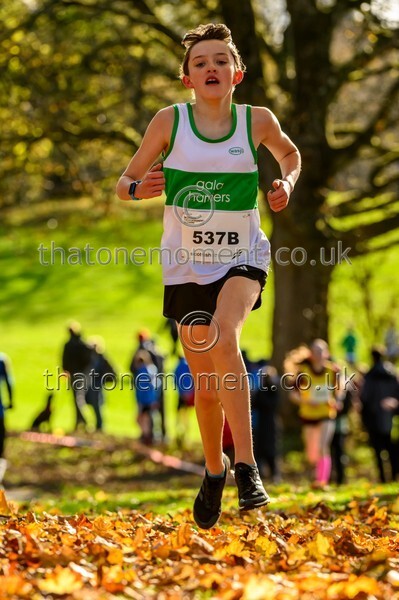 NatRel25-925012 - Young Female Set One