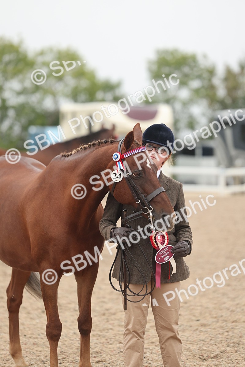 SBM_19890 - Class 318 - IH Part Bred Horse-Pony