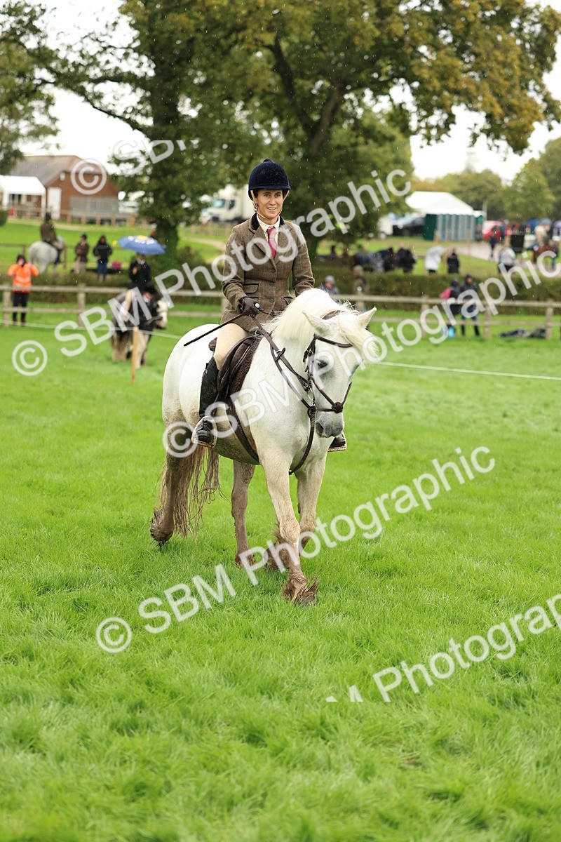 1I0A1468 - S32 - Mountain & Moorland Working Hunter Pony