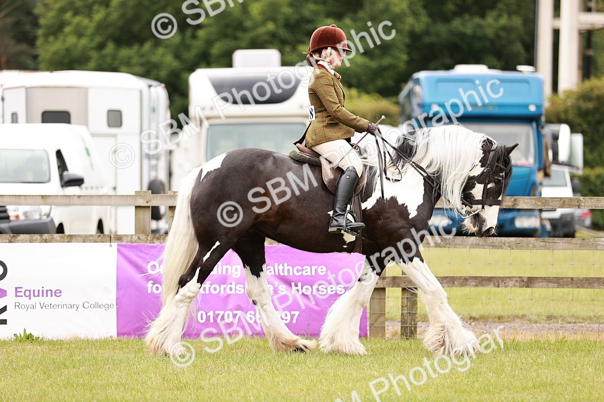 SBM_06217 - Class 39-41 TGCA In Hand and Ridden