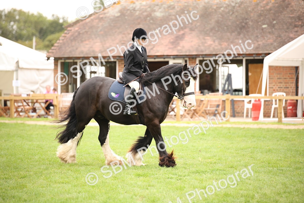 SBM_73490 - S68 - Traditional Cob Ridden