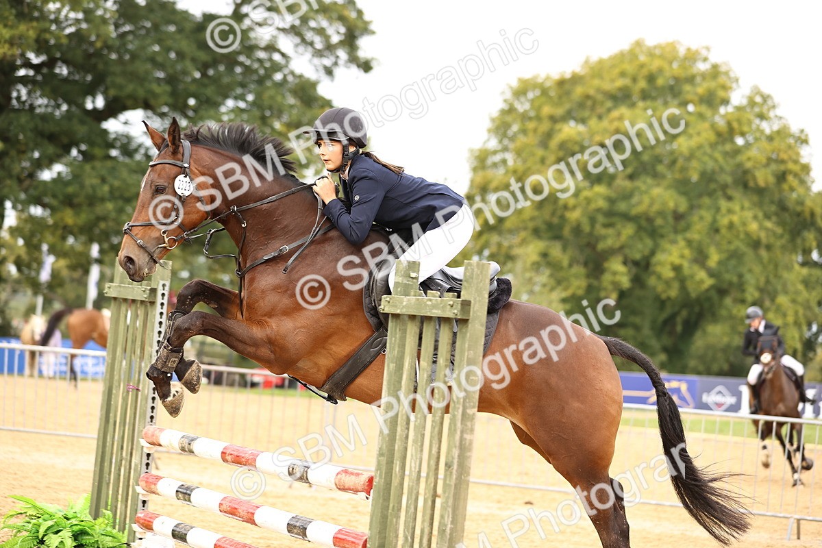 SBM_58374 - J41 - Grand Tour Horse & Pony 95cm