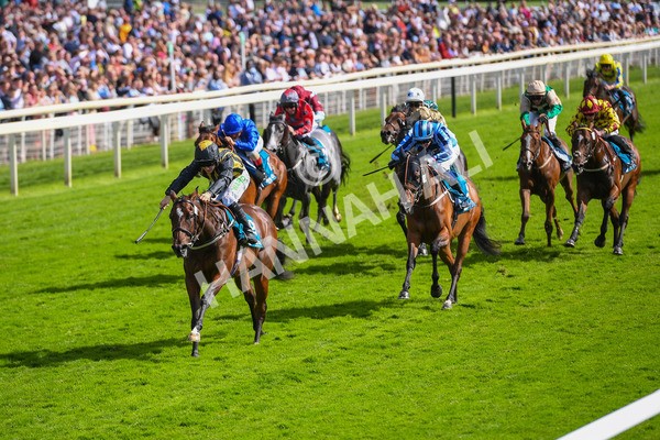 150723-Race 5-Specific Times-0538 - Race 5 4.20pm John Smith's Nursery Handicap
