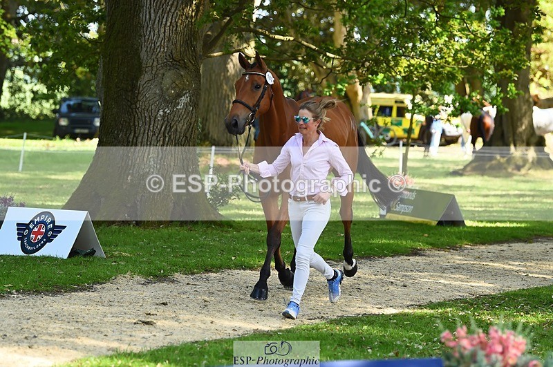 230524-163530-00966 - 182-HARTHILL_FLAMENCO-Izzy_Taylor-WEDTrotUp+DR