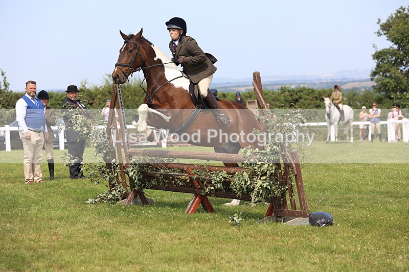 JPP_3642 - Class 23: Working Hunter 80cm