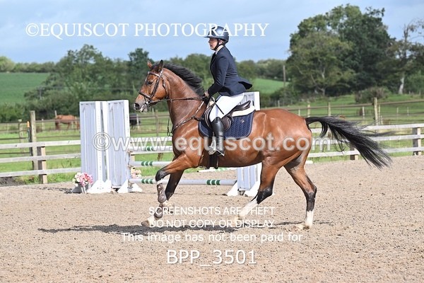 BPP_3501 - CLASS 36 SUN Senior British Novice/ 90cm Open
