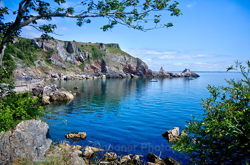 TQ224 - Ansteys Cove - Greetings Cards Meadfoot and Ansteys