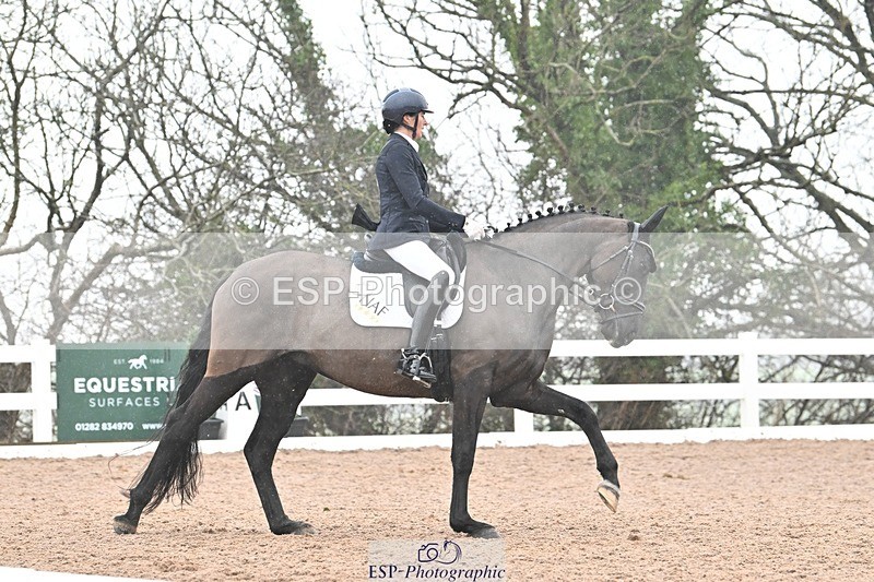 250215-133241-03886 - 165-Elder.Klatzko-Dynasty.Hit