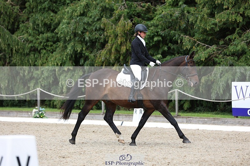 230812-153200-05156 - Cls 5 Novice Bronze 15.00 to End