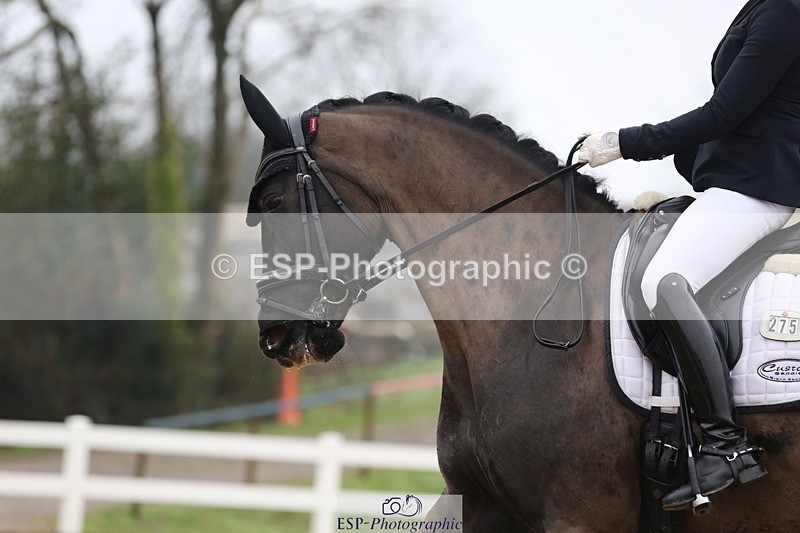 240217A-114222-01844 - 275-Lucy.Pye-La.Vida.loca