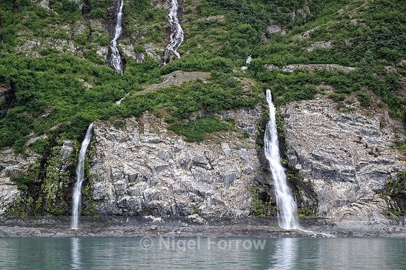 Kittiwake colony & waterfalls, Whittier, Alaska - Alaska, USA