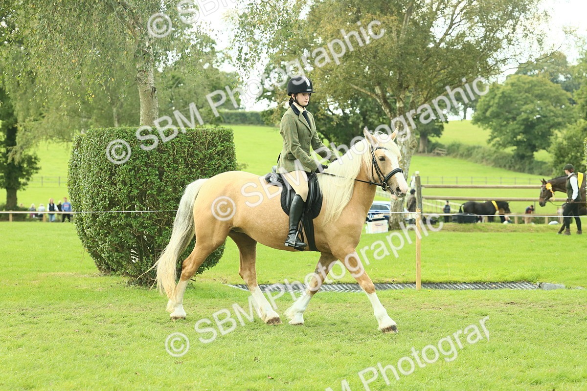 SBM_62575 - S63 - Other Coloured Horse Ridden