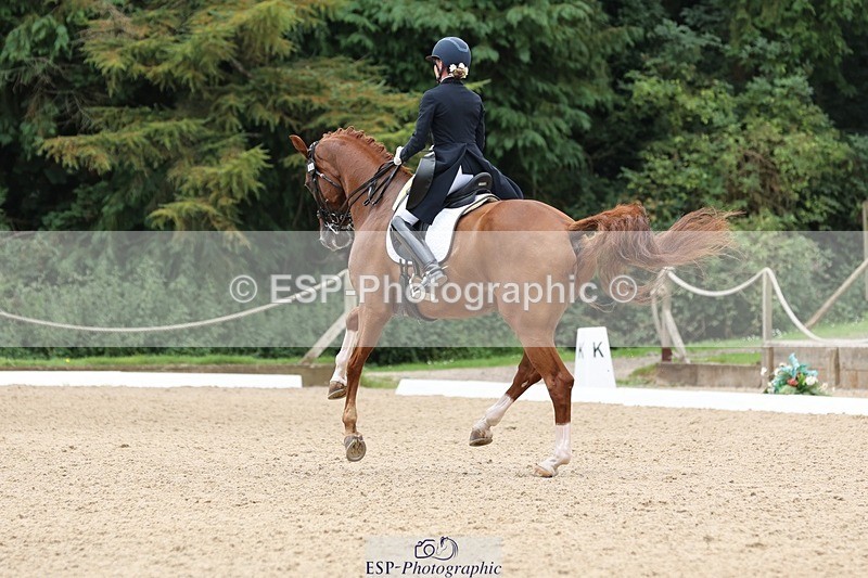 240810-133503-03348 - 188-Amanda.Towle.Shaw-Rockwood.Virtue