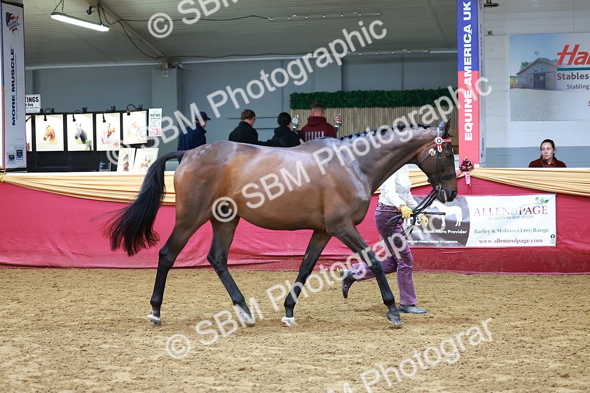 SBM_17052