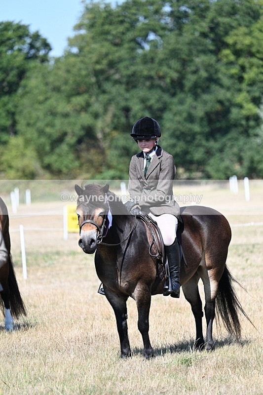 WJ7_4207 - Class 9 Mountain & Moorland Ridden