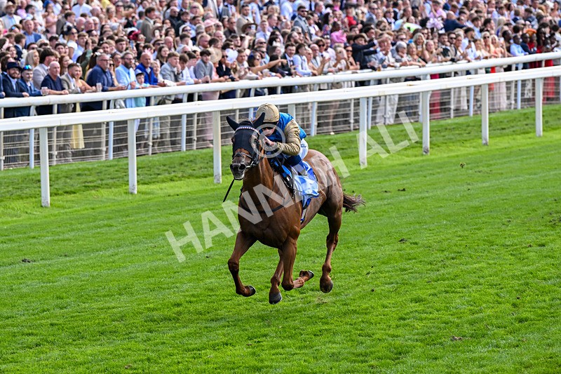220826-Race 1-Archivist-0228 - Race 1 13.50pm Sky Bet Strensall Stakes
