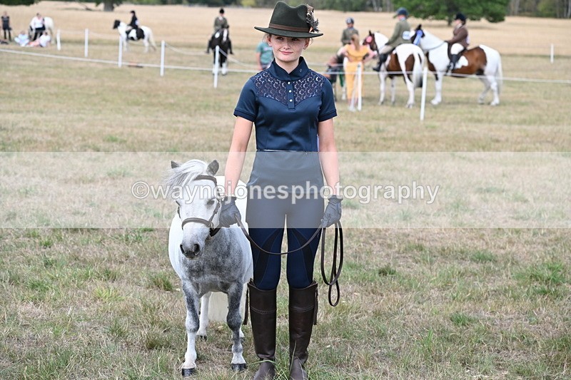 WJ6_7096 - Class 21 Shetland & Mini Horses