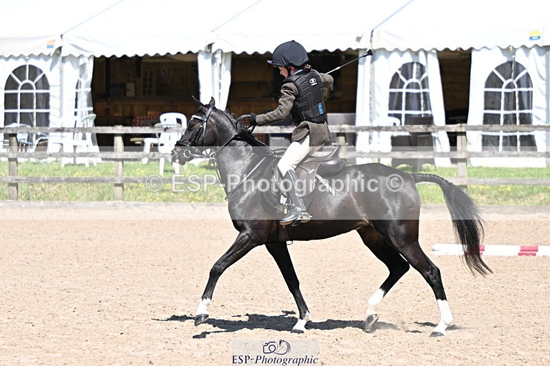 240729B-121249-02608 - Showjumping Competition