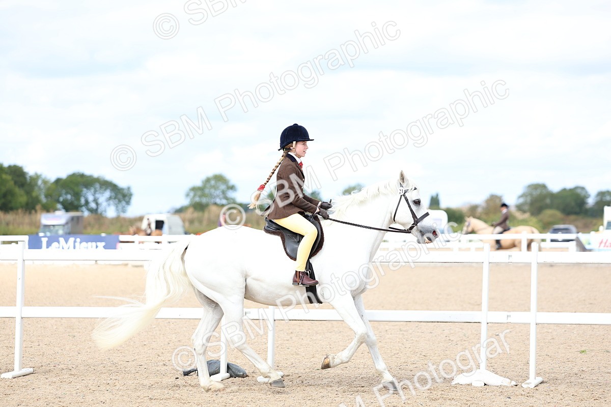 SBM_15778 - Class 314 - Family Horse - Pony