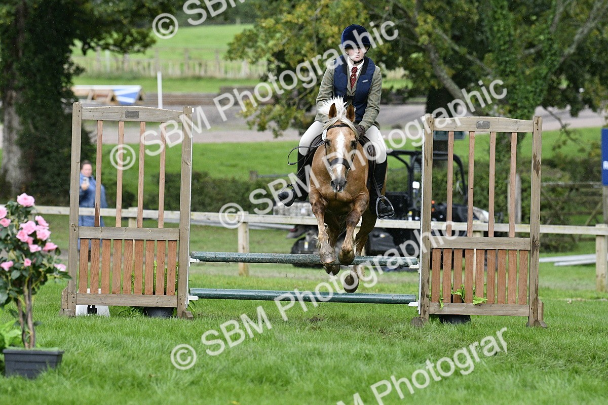 SBM_42236 - S32 - Mountain & Moorland Working Hunter Pony