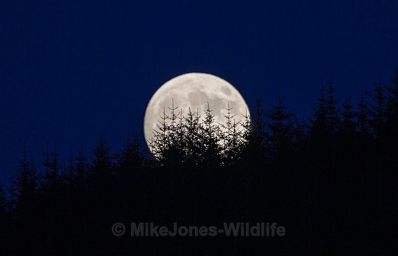 SUPER MOON, ISLE OF MULL, SCOTLAND - ISLE OF MULL LANDSCAPE PHOTOGRAPHY