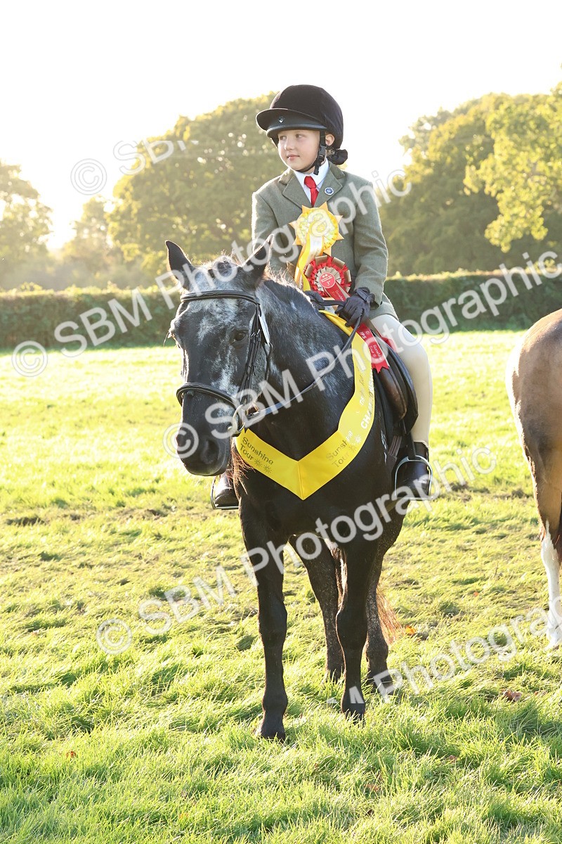 SBM_53182 - Veteran Supreme Championship