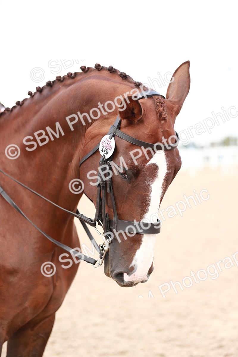SBM_15527 - Class 213 Ridden Hunter -Large