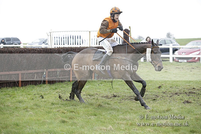 PtP 150320 0343 - New Forest Point-to-Point Larkhill 15/03/20