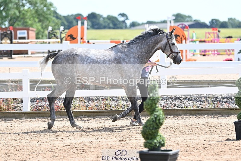 240717A-150543-02532 - Trot Up 3pm to 4pm