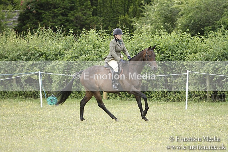 BVR160717-909 - Ring 3 BVRC Show 16/07/17