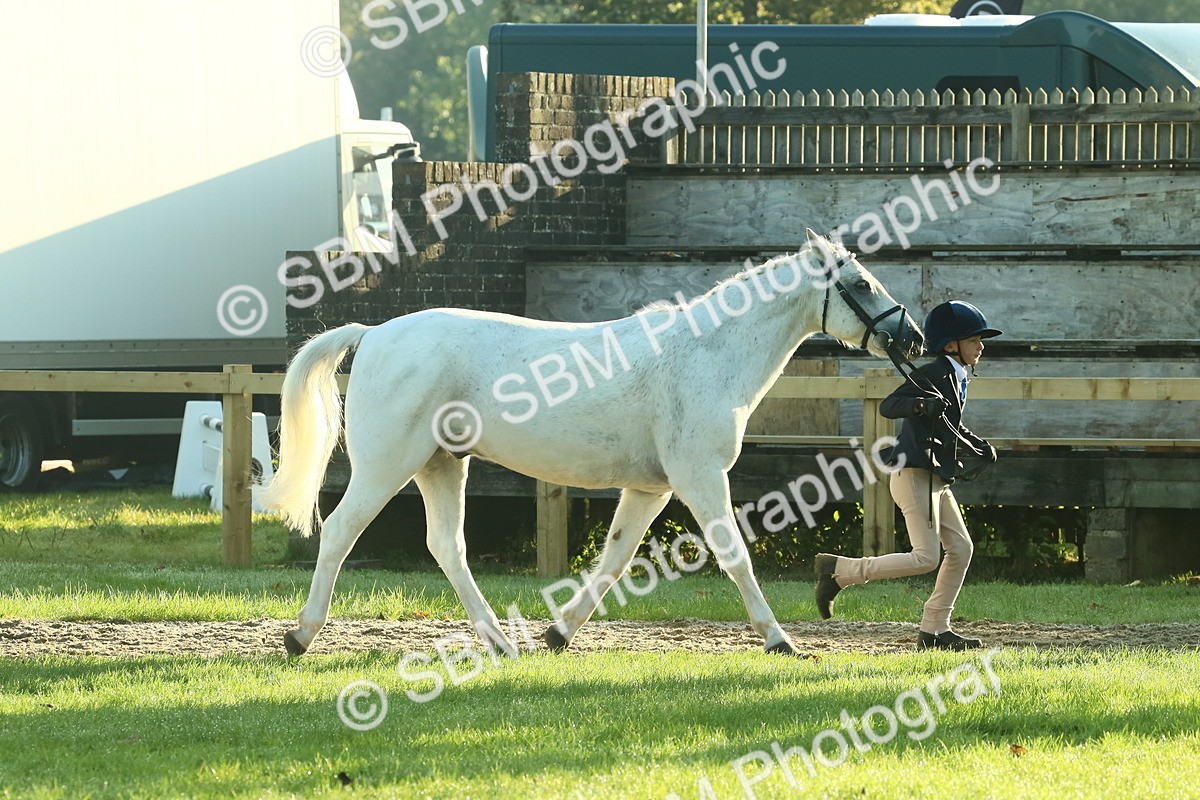 SBM_57357 - S37 - Starters In Hand Showing