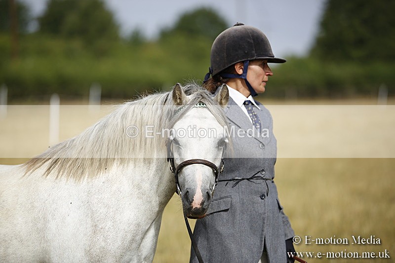 _C7A9250 - BVRC Sow 2018 Ring 2