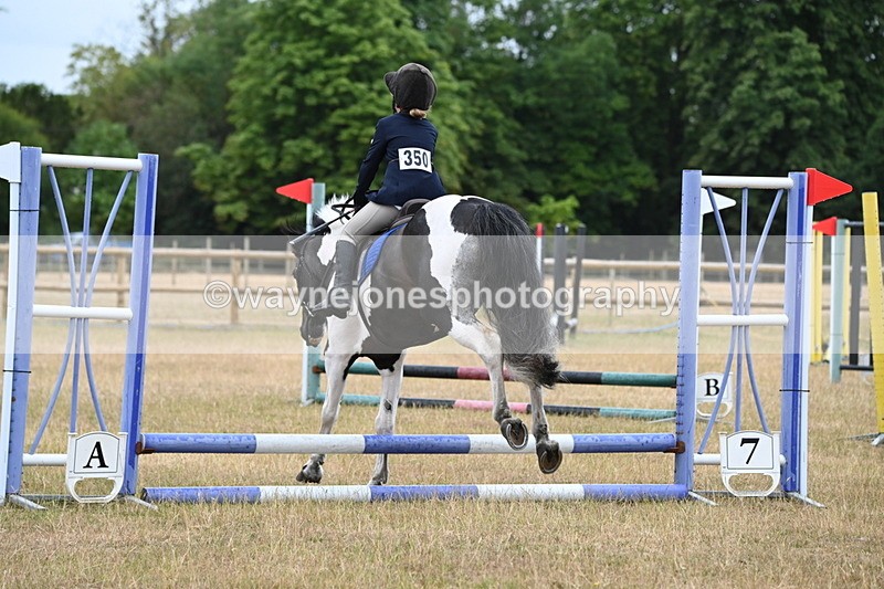 WJ6_9380 - Class 12 Minimus Jumping 45cm