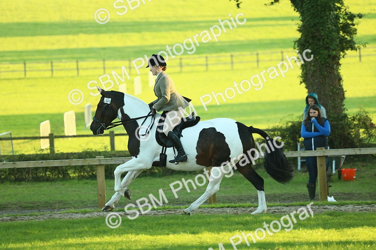 SBM_56503 - S14 - Riding Club Horse