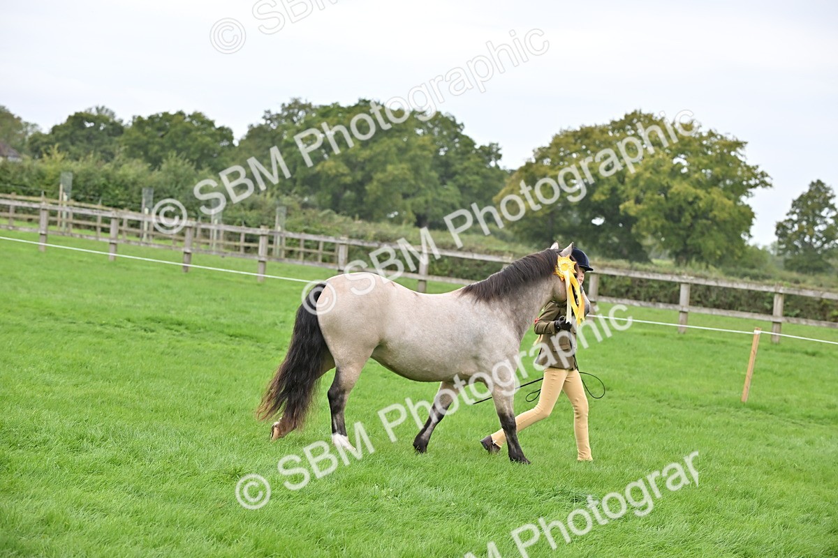 SBM_61112 - S48 - Mountain & Moorland In Hand Small Breeds