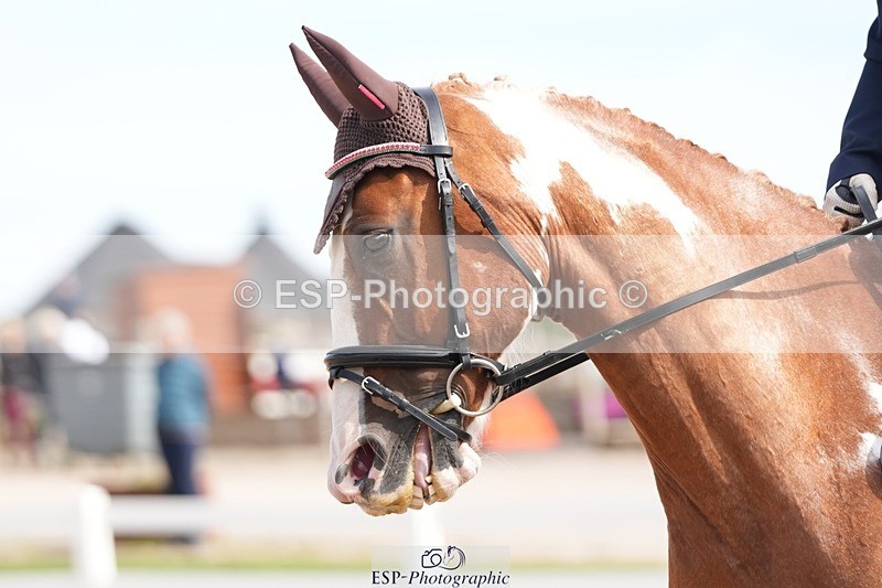 250906-131150-03545 - 016-Sarah.canningJohnny.Knoxville