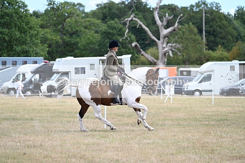 WJ7_5606 - Class 12 Ridden Cob