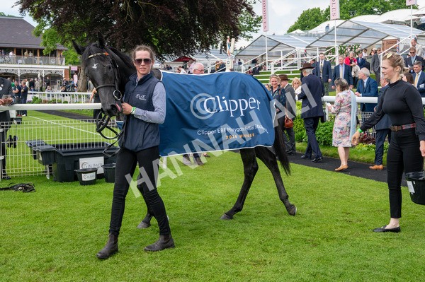 170524-Race 1-Betty Clover-8603 - Race 1 2.15pm Clipper EBF Marygate Fillies' Stakes