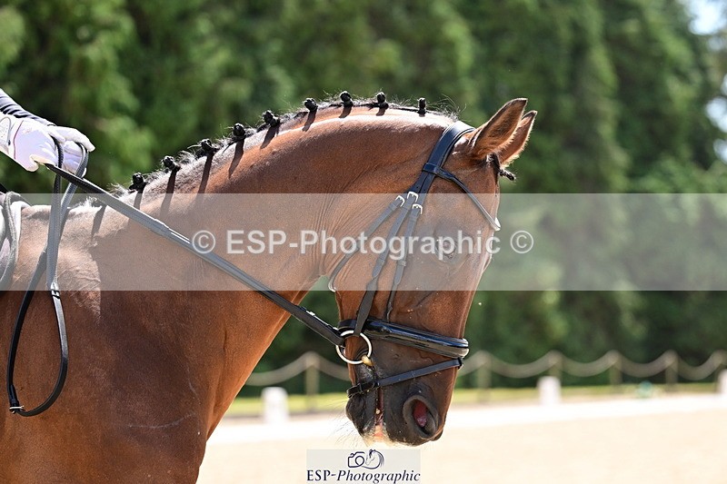260731A-125316-00919 - Elementary Bronze Break- End