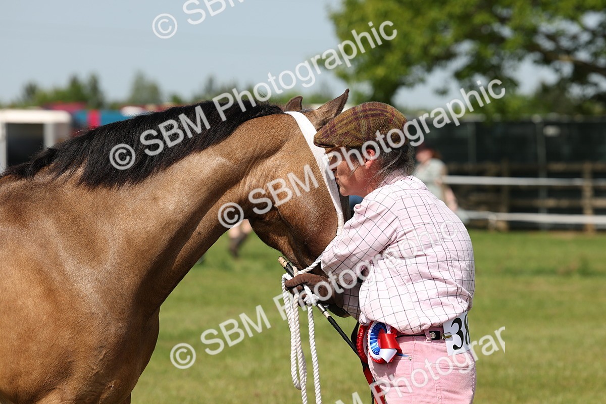 SBM_02417 - Class 6-13 - Mountatin and Moorland In Hand Welsh Breeds