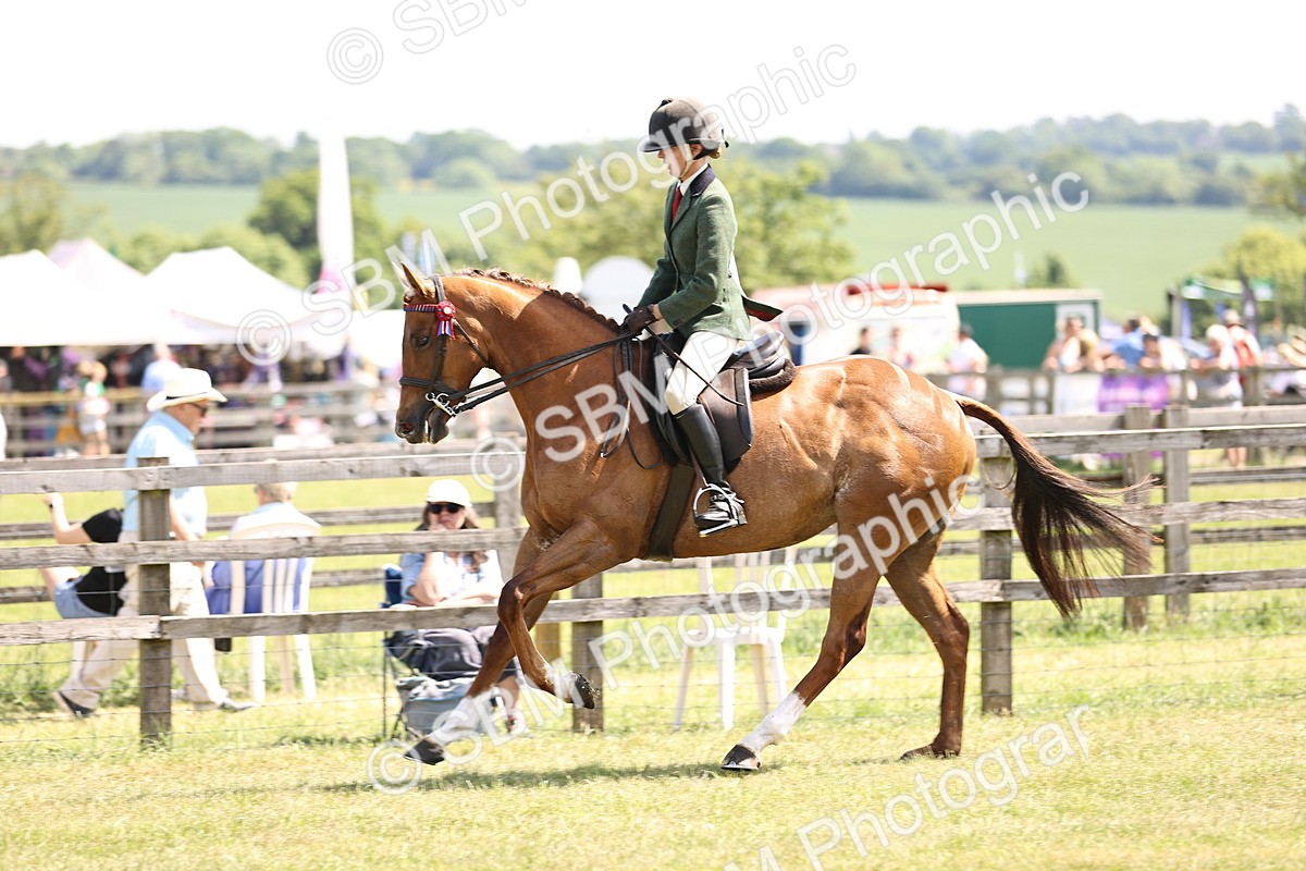 SBM_14900 - Class 78 - LIHS BSHA Open Racehorse & Show Horse