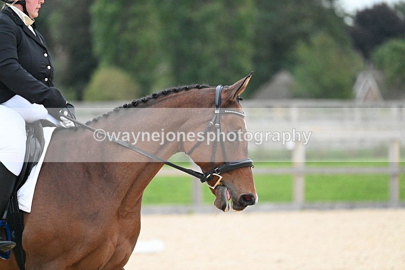 WJ7_2460 - Class 2 & Champs