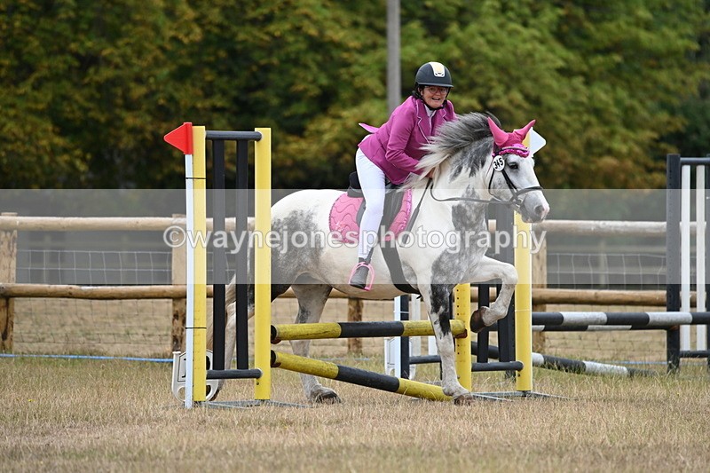 WJ6_0106 - Class 13 Novice Jumping 60cm
