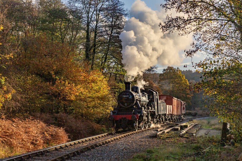 The Afternoon Goods - The Lure of Steam Latest Images