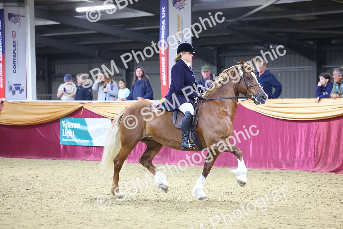 0B8A4599 - Class Q Style & Performance Champ